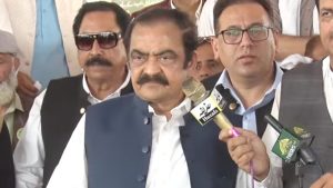 Rana Sana