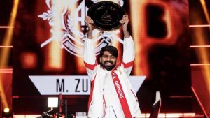 Zubir